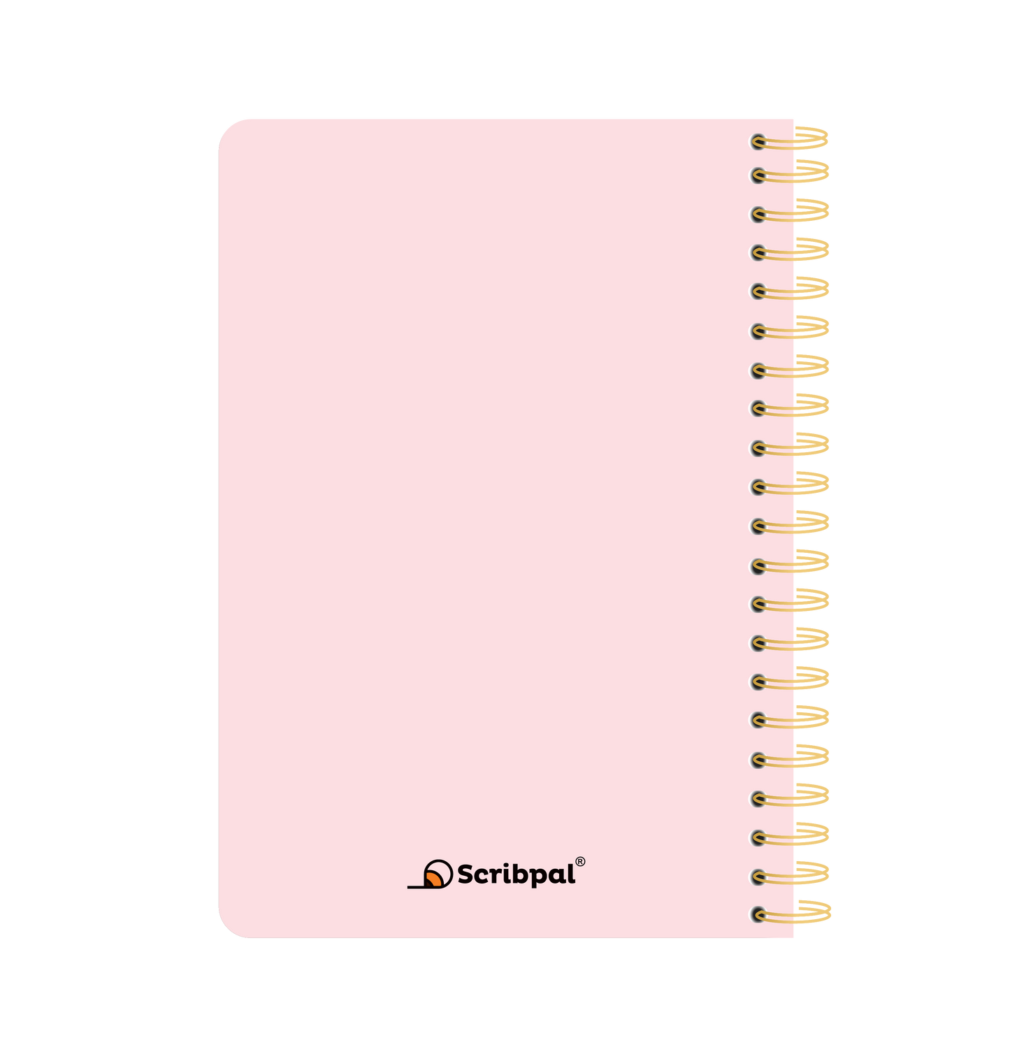 Daily Planner Undated - Blush Pink Edition