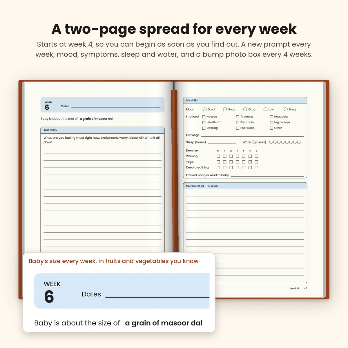 Copper Brown pregnancy journal open at week 6, with baby's size, a writing prompt, mood, symptoms, sleep and water