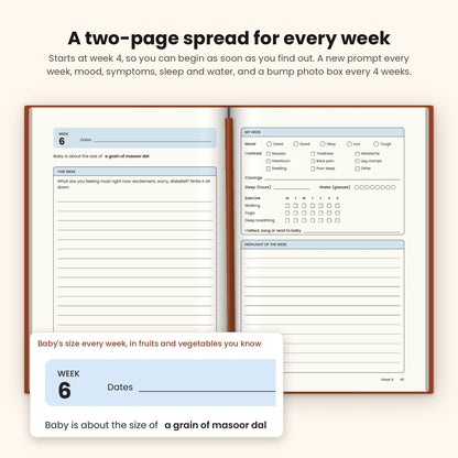 Copper Brown pregnancy journal open at week 6, with baby's size, a writing prompt, mood, symptoms, sleep and water