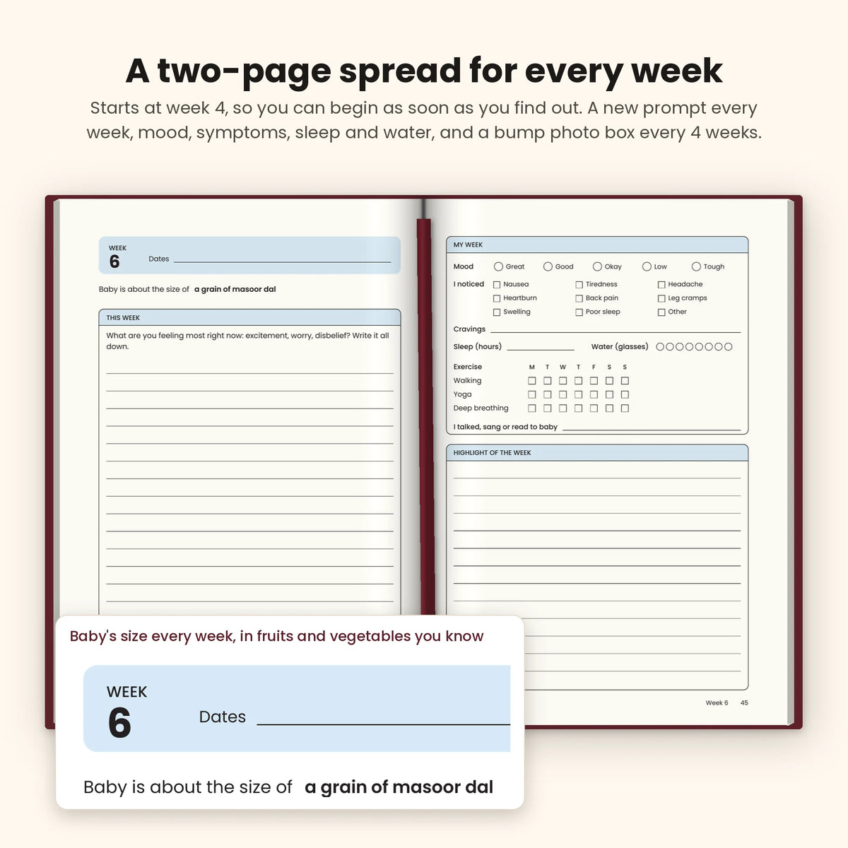 Maroon pregnancy journal open at week 6, with baby's size, a writing prompt, mood, symptoms, sleep and water